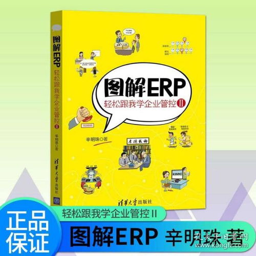 正版 图解erp轻松跟我学企业管控ⅱ辛明珠 企业管理类书籍 企业家文化管理体系建设 企业管理发展书籍 erp软件开发使用